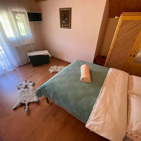 Pensiunea Valea Badilii Country house Valea Iasului