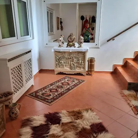Pensiunea Valea Badilii * Valea Iasului