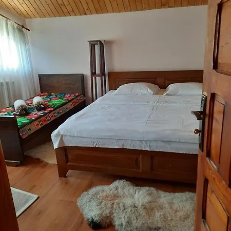 Pensiunea Valea Badilii Country house