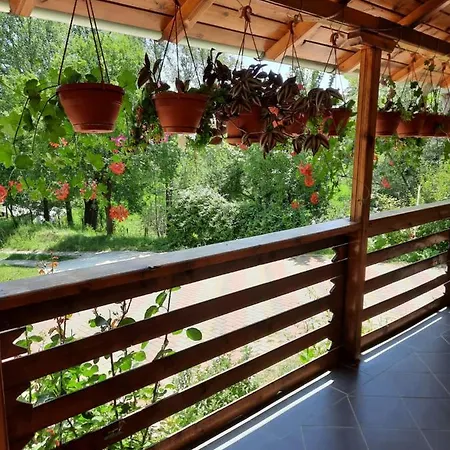 Pensiunea Valea Badilii Valea Iasului