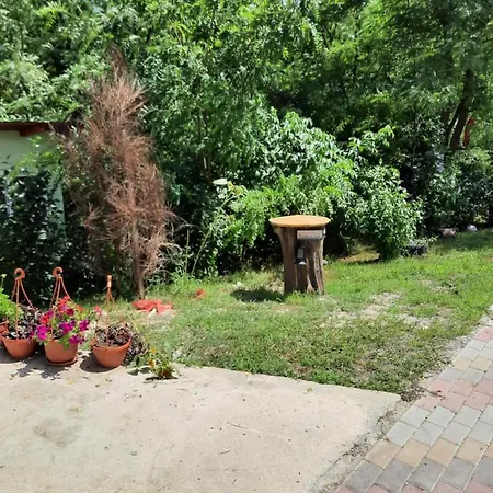 Εξοχικό σπίτι Pensiunea Valea Badilii Valea Iasului