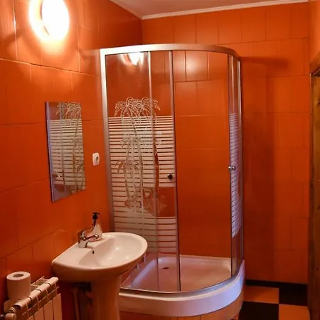 Country house Pensiunea Valea Badilii *
