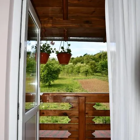 Pensiunea Valea Badilii Valea Iasului