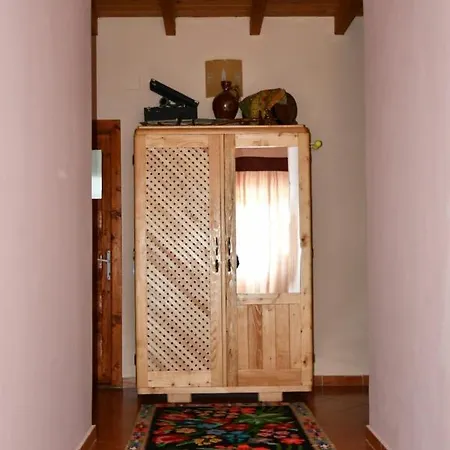 Pensiunea Valea Badilii *
