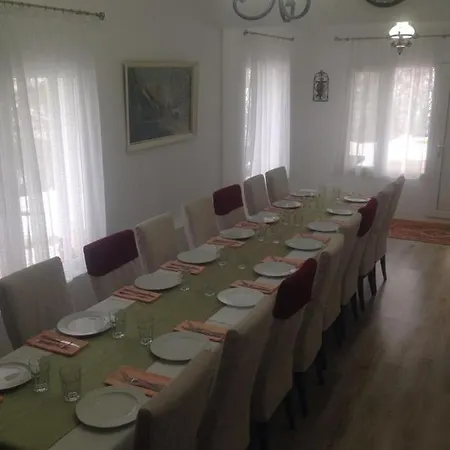Pensiunea Valea Badilii *