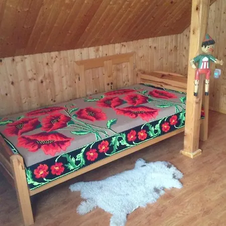Country house Pensiunea Valea Badilii