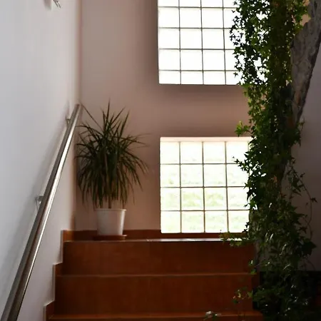 Pensiunea Valea Badilii Country house